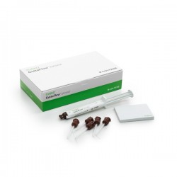 GuttaFlow BIOSEAL τυποποιημένο σύνολο ROEKO