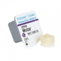 Πρωτότυπο Crown Upper Molar Large Refill 3M