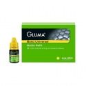 GLUMA Bond Universal Refill 4 ml Kulzer