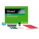 Διαφορετικό σετ Gluma 2Bond 4ml Kulzer