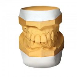 Γύψος Articulator SheraArti Λευκός 20kg Shera