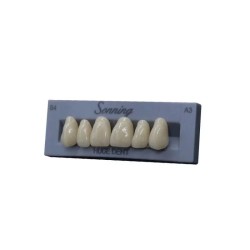 Οδοντοστοιχία από πολυμερές DCL PMMA, HUGE SONNING ANTERIOR A1 O5
