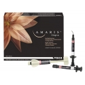 Amaris Gingiva Kit Voco